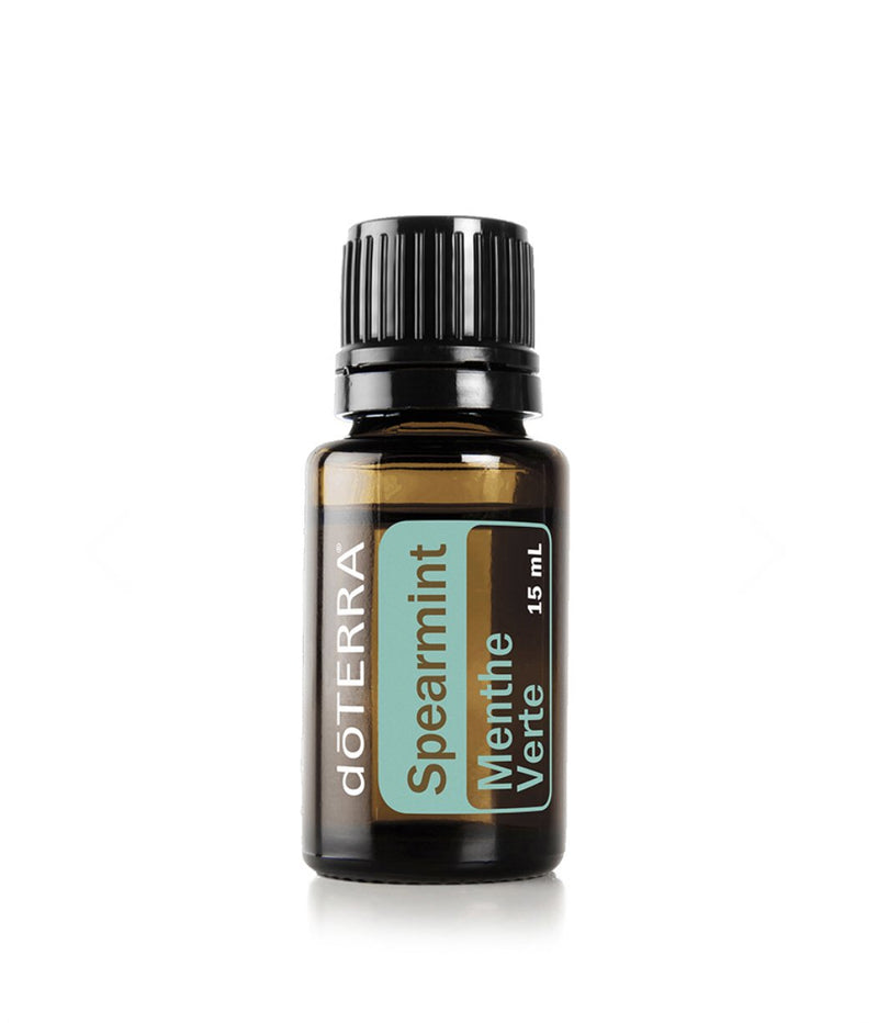 doTERRA Spearmint Essential Oil and Lava Bead Diffuser Jewelry