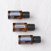 doTERRA Peppermint Essential Oil and Lava Bead Diffuser Jewelry